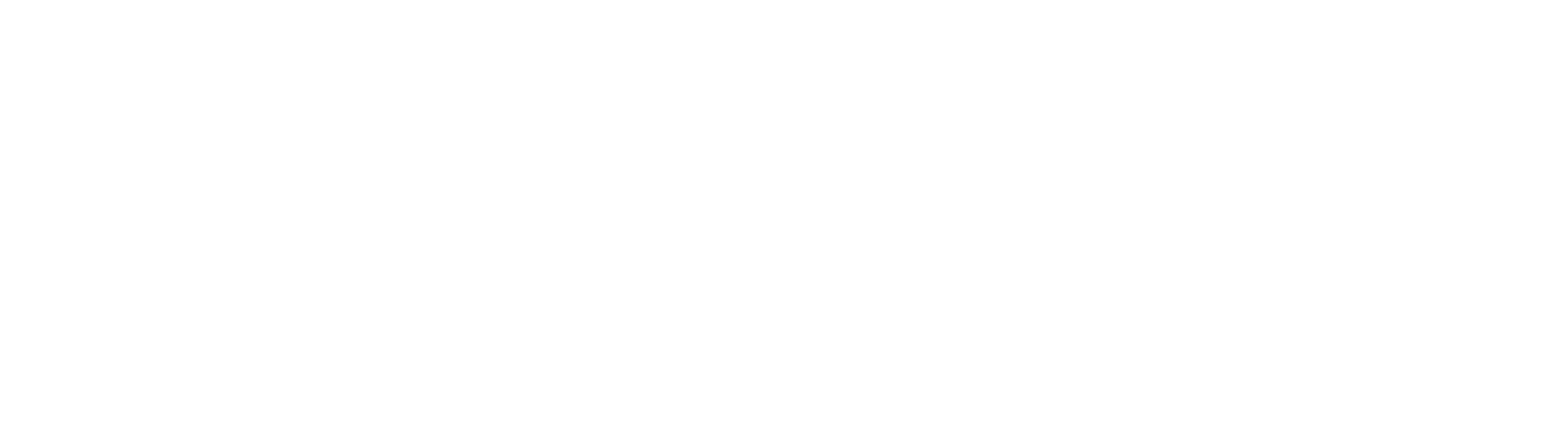 Make-A-Wish San Diego Logo
