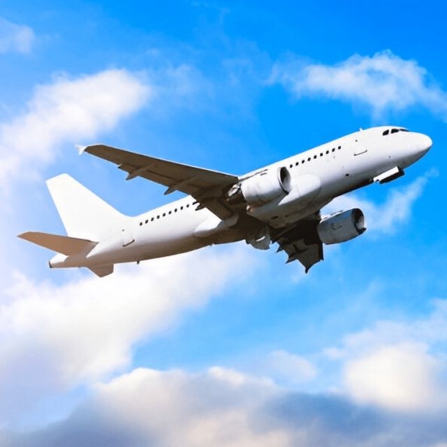 Domestic Flight (Examples: Disney World & Hawaii Wishes)_equivalent to one full flight for one person