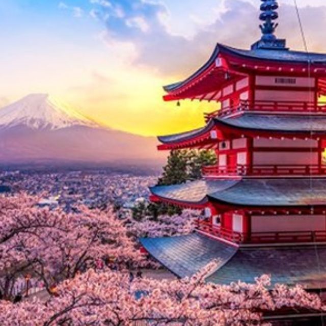 Activities on international travel wishes (examples: sight seeing tours, tours)